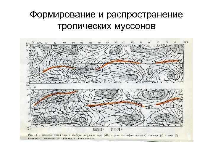 Формирование и распространение тропических муссонов 