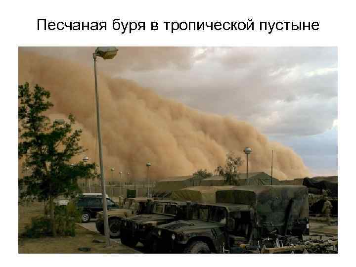 Песчаная буря в тропической пустыне 