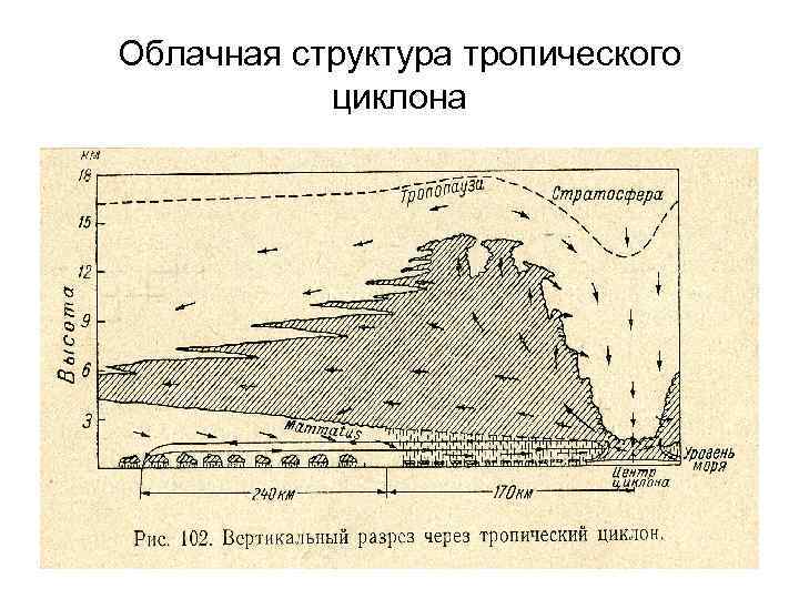 Облачная структура тропического циклона 