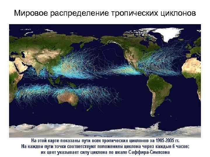 Мировое распределение тропических циклонов 
