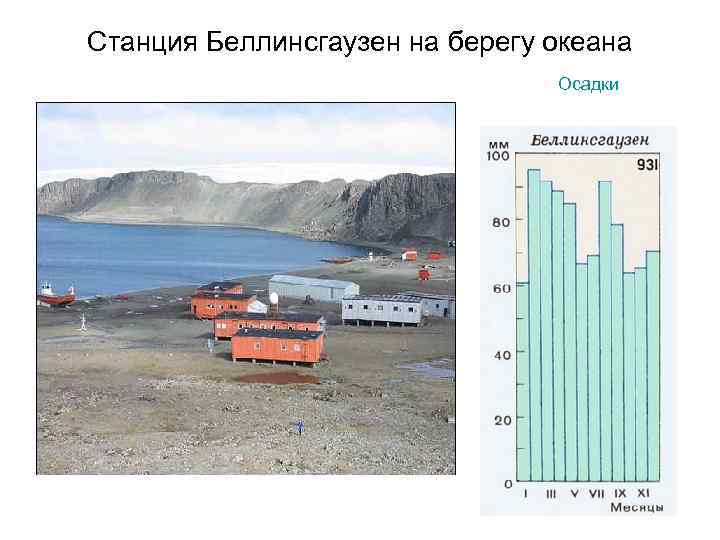 Станция Беллинсгаузен на берегу океана Осадки 