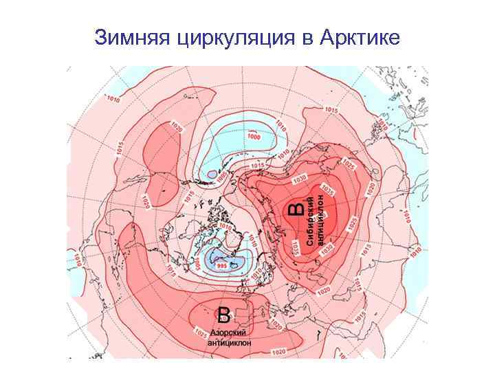 Зимняя циркуляция в Арктике 