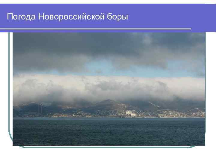 Погода Новороссийской боры 