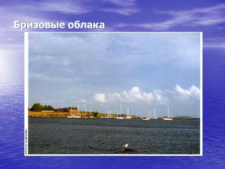 Бризовые облака 