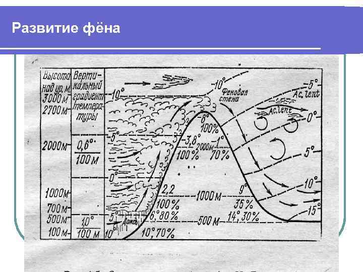 Развитие фёна 