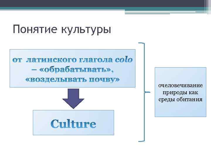 Понятие культуры очеловечивание природы как среды обитания 