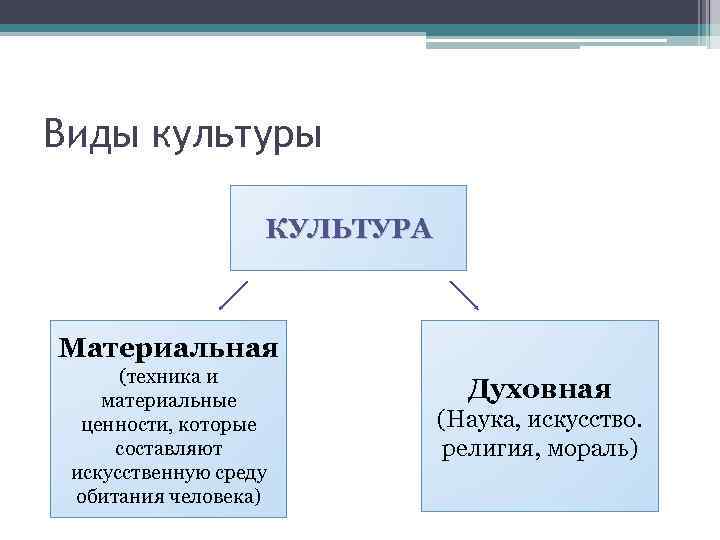 Виды культуры КУЛЬТУРА Материальная (техника и материальные ценности, которые составляют искусственную среду обитания человека)