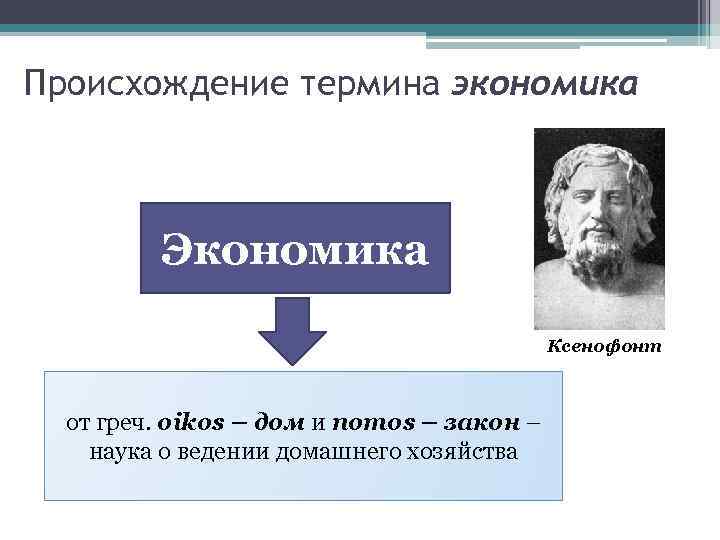 Экономика как наука план. Происхождение термина экономика. Экономика и экономическая наука план. История возникновения термина экономика. Ксенофонт экономика.