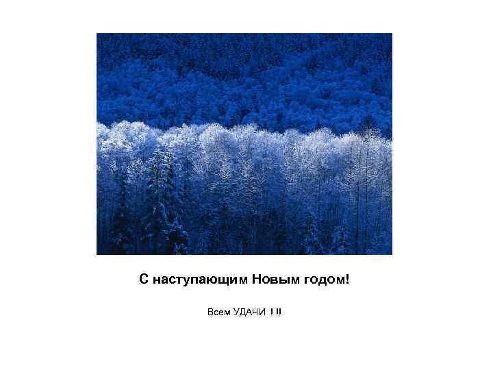 С наступающим Новым годом! Всем УДАЧИ ! !! 
