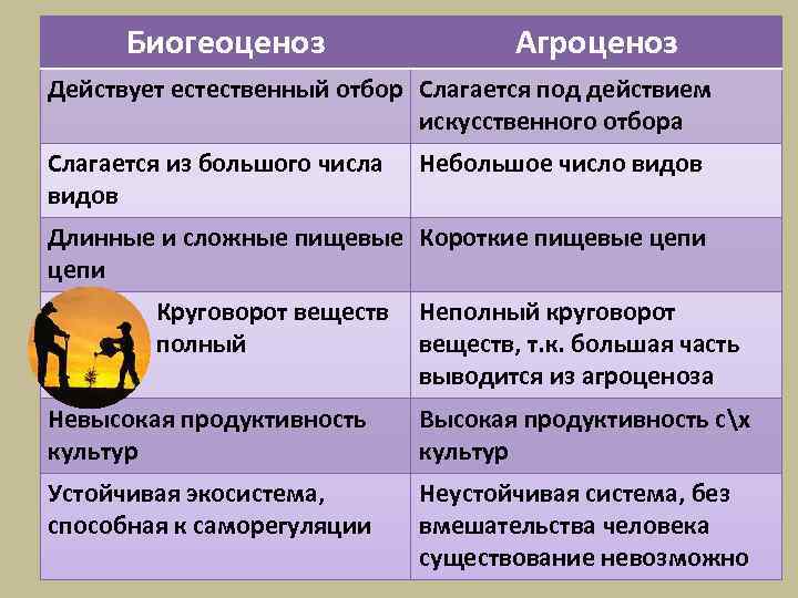 Искусственное видовое разнообразие. Виды природных экосистем. Сравнительная характеристика биогеоценоза и агроценоза. Естественная экосистема и агроэкосистема. Биоценоз биогеоценоз агроценоз.