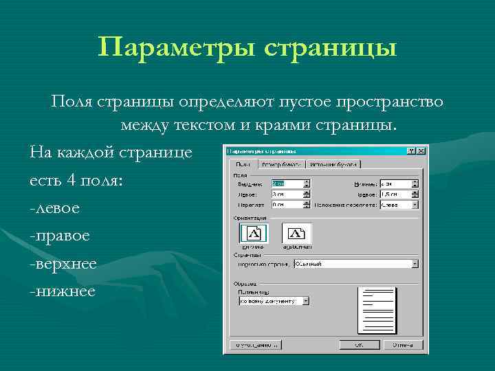 Определить страница. Поля страницы. Параметры страницы поля. Параметры поля параметры страницы. Параметры полей старниц.