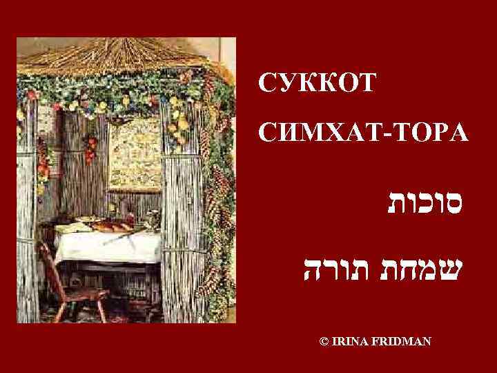 СУККОТ СИМХАТ-ТОРА סוכות שמחת תורה © IRINA FRIDMAN 