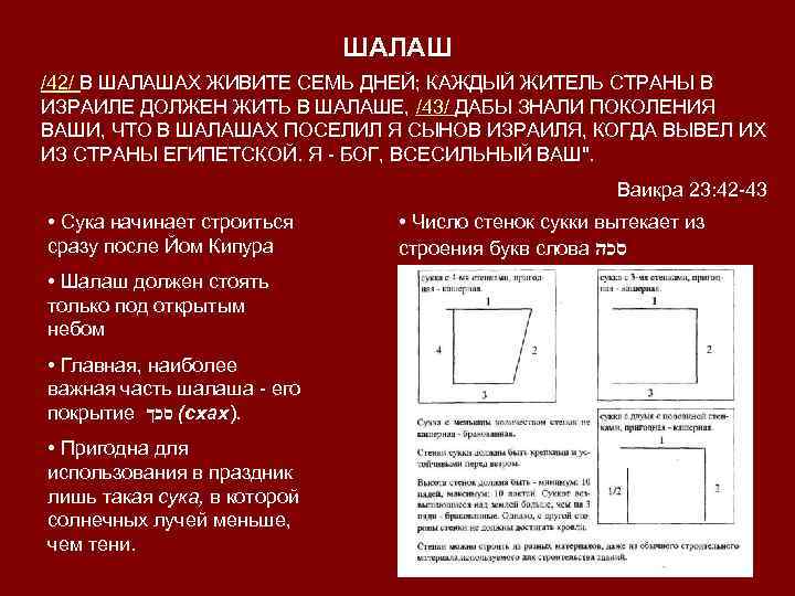 ШАЛАШ /42/ В ШАЛАШАХ ЖИВИТЕ СЕМЬ ДНЕЙ; КАЖДЫЙ ЖИТЕЛЬ СТРАНЫ В ИЗРАИЛЕ ДОЛЖЕН ЖИТЬ