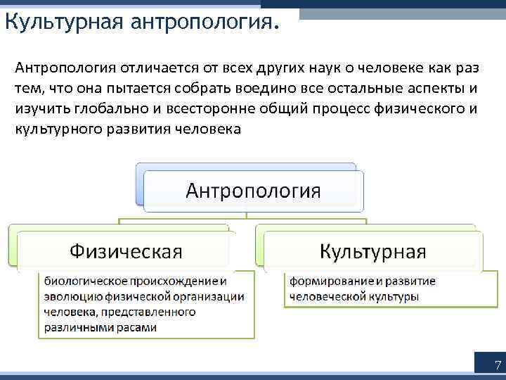 Культурная антропология