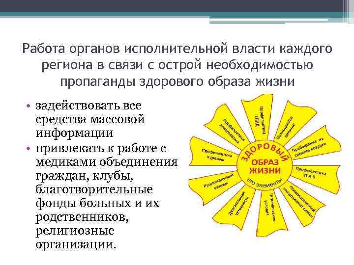 Работа органов исполнительной власти каждого региона в связи с острой необходимостью пропаганды здорового образа