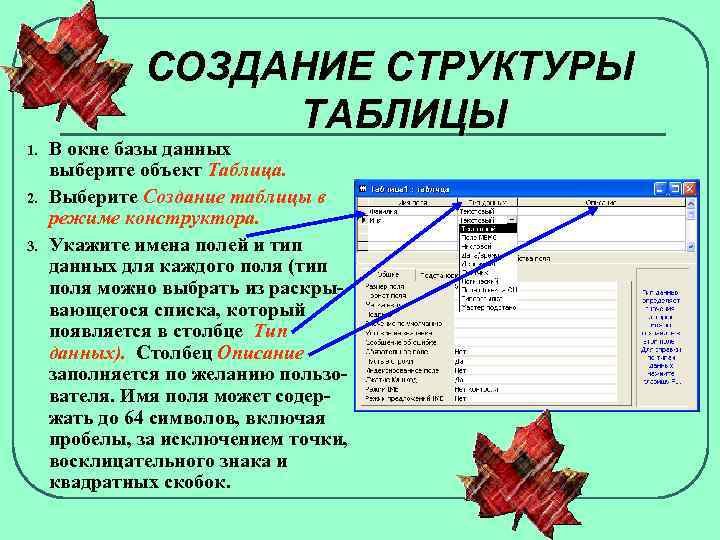 Строение таблицы