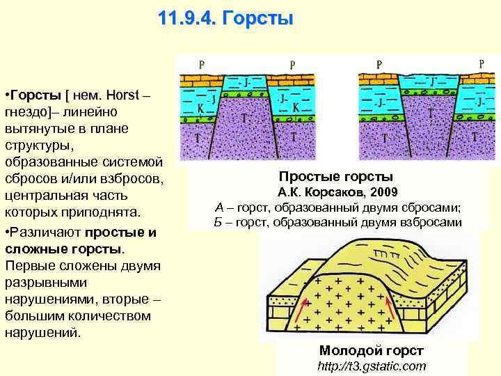 11. 9. 4. Горсты • Горсты [ нем. Horst – гнездо]– линейно вытянутые в