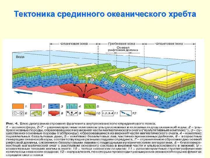 Срединно океанические хребты индийского океана