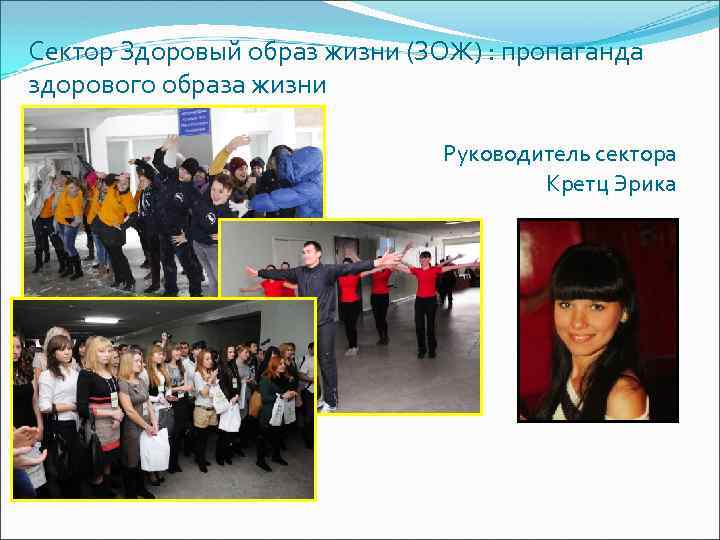 Сектор Здоровый образ жизни (ЗОЖ) : пропаганда здорового образа жизни Руководитель сектора Кретц Эрика