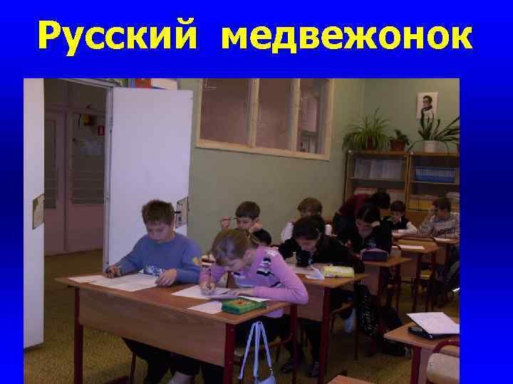 Русский медвежонок 