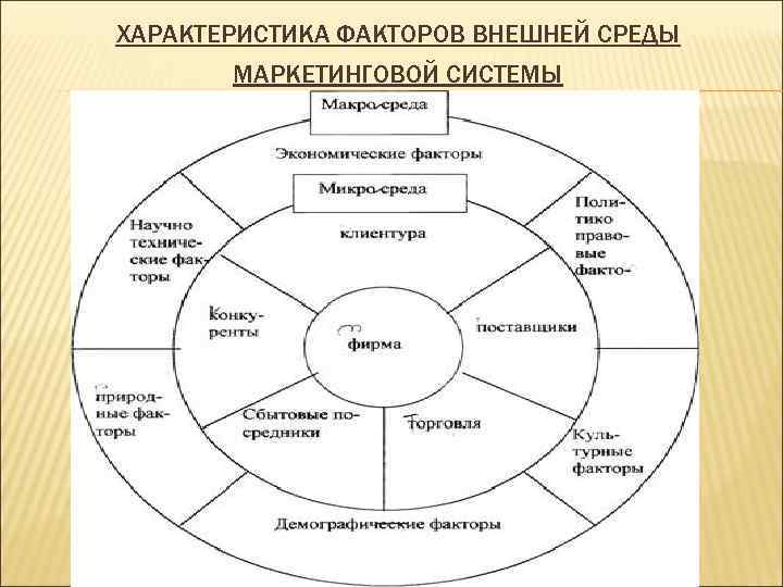 ХАРАКТЕРИСТИКА ФАКТОРОВ ВНЕШНЕЙ СРЕДЫ МАРКЕТИНГОВОЙ СИСТЕМЫ 