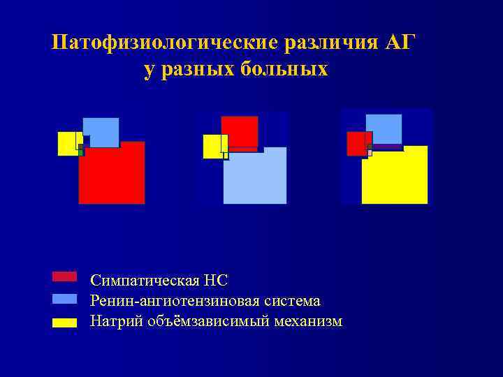 Патофизиологические различия АГ у разных больных Симпатическая НС Ренин-ангиотензиновая система Натрий объёмзависимый механизм 