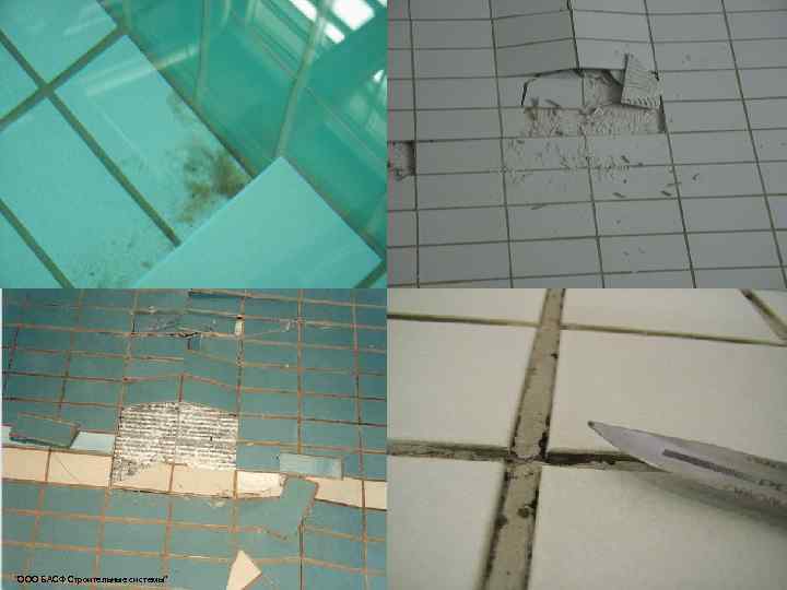 Проблематика при эксплуатации бассейна "ООО БАСФ Строительные системы" 