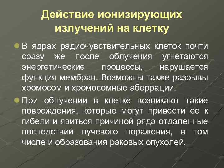 Действие ионизирующих излучений на клетку l В ядрах радиочувствительных клеток почти сразу же после