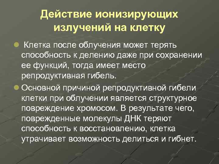 Действие ионизирующих излучений на клетку l Клетка после облучения может терять способность к делению