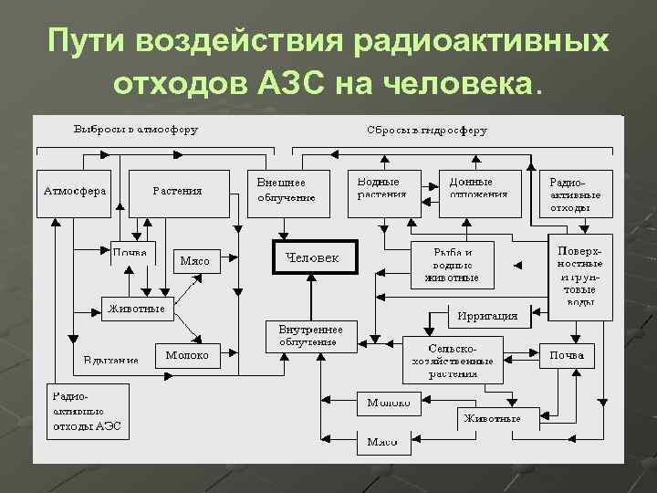 Пути воздействия радиоактивных отходов АЗС на человека. 