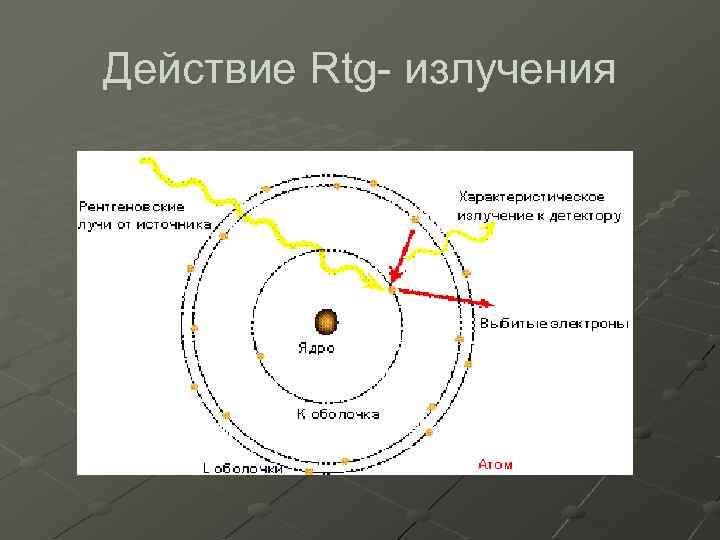 Действие Rtg- излучения 