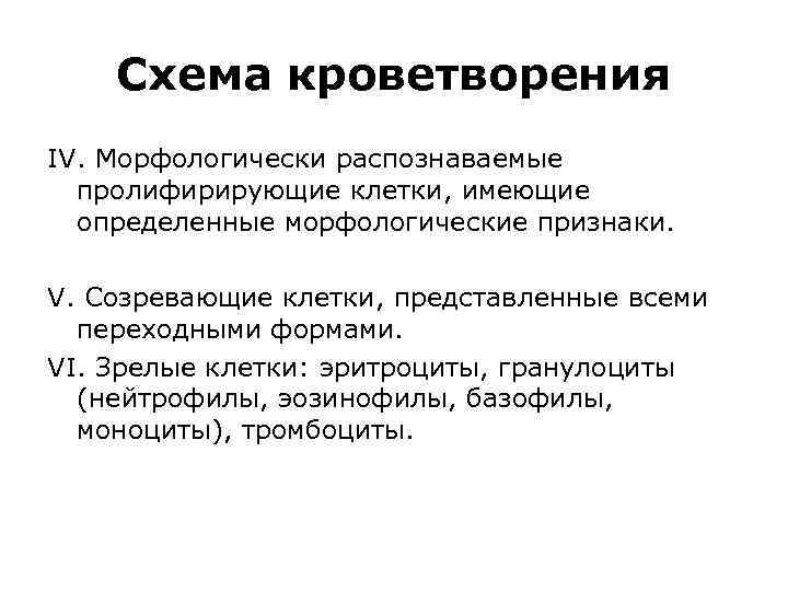 Схема кроветворения IV. Морфологически распознаваемые пролифирирующие клетки, имеющие определенные морфологические признаки. V. Созревающие клетки,