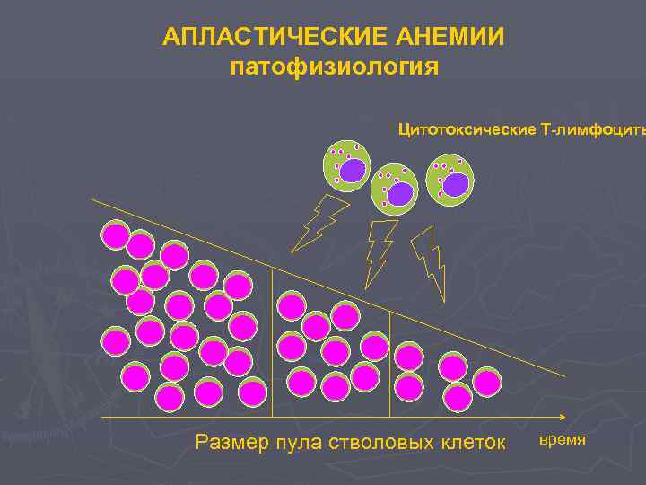 Апластическая анемия рисунок