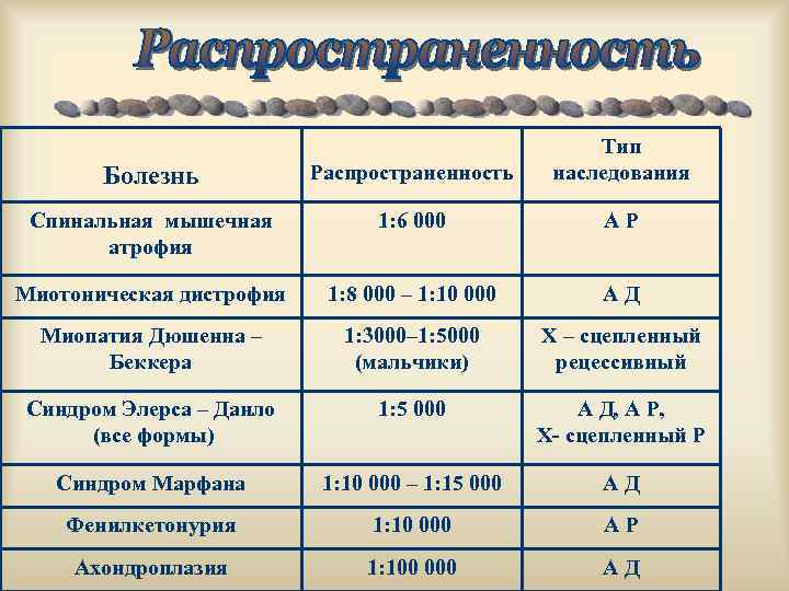 Болезнь Распространенность Тип наследования Спинальная мышечная атрофия 1: 6 000 АР Миотоническая дистрофия 1: