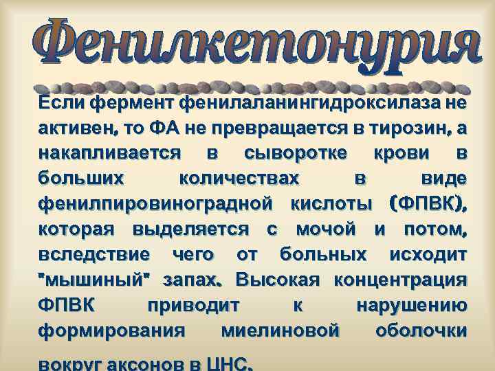 Если фермент фенилаланингидроксилаза не активен, то ФА не превращается в тирозин, а накапливается в