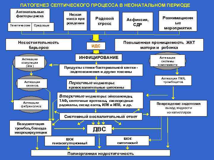 ПАТОГЕНЕЗ СЕПТИЧЕСКОГО ПРОЦЕССА В НЕОНАТАЛЬНОМ ПЕРИОДЕ Антенатальные факторы риска Генетические Низкая масса при рождении