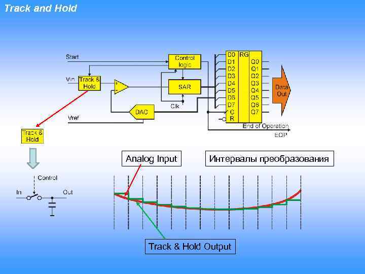 Track and Hold Analog Input Интервалы преобразования Track & Hold Output 