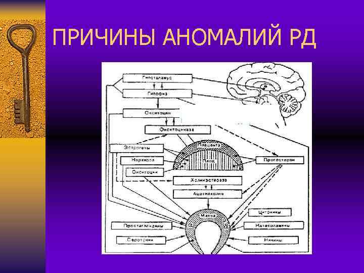 ПРИЧИНЫ АНОМАЛИЙ РД 