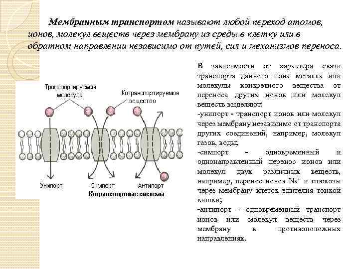 Мембранным транспортом называют любой переход атомов, ионов, молекул веществ через мембрану из среды в