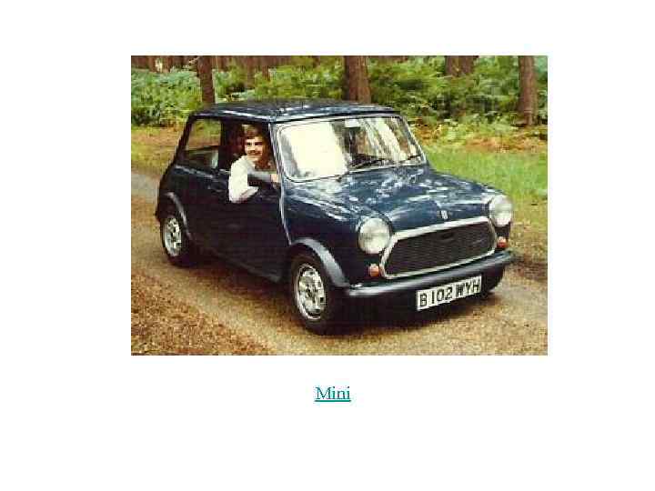 Mini 
