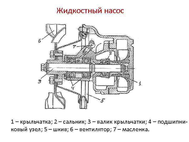 Жидкостный насос 1 – крыльчатка; 2 – сальник; 3 – валик крыльчатки; 4 –