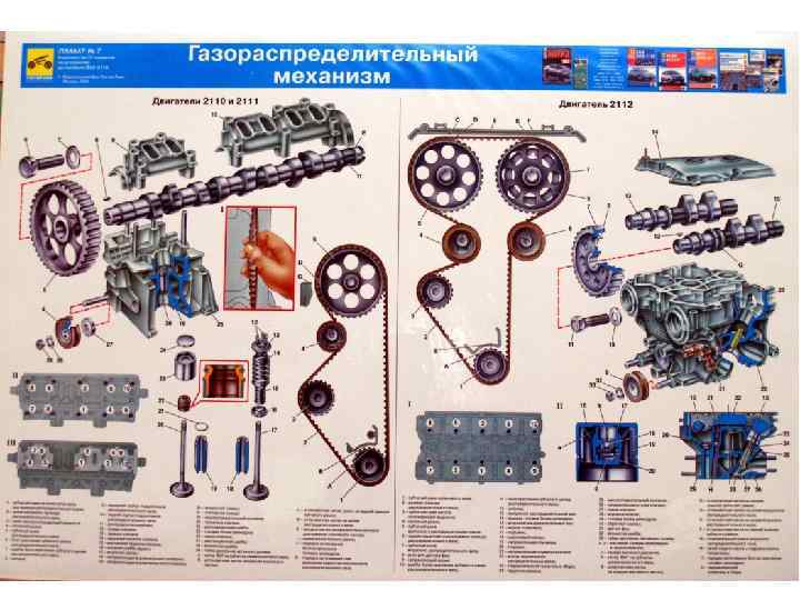 8 механизмов. Газораспределительный механизм двигателя ЯМЗ 238. Механизм ГРМ ЯМЗ 536. ГРМ С цепным приводом двигатель механизма КАМАЗ 4350. ГРМ КАМАЗ 4310.