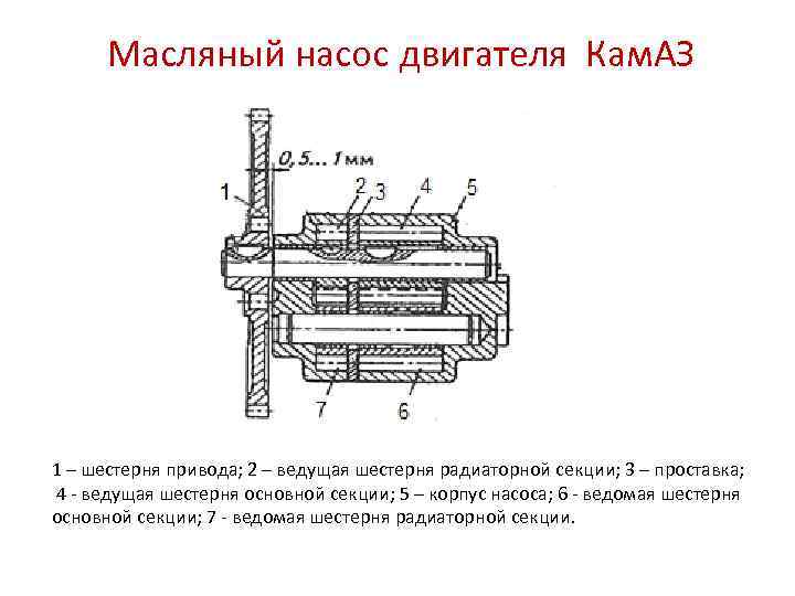 Масляный насос двигателя Кам. АЗ 1 – шестерня привода; 2 – ведущая шестерня радиаторной