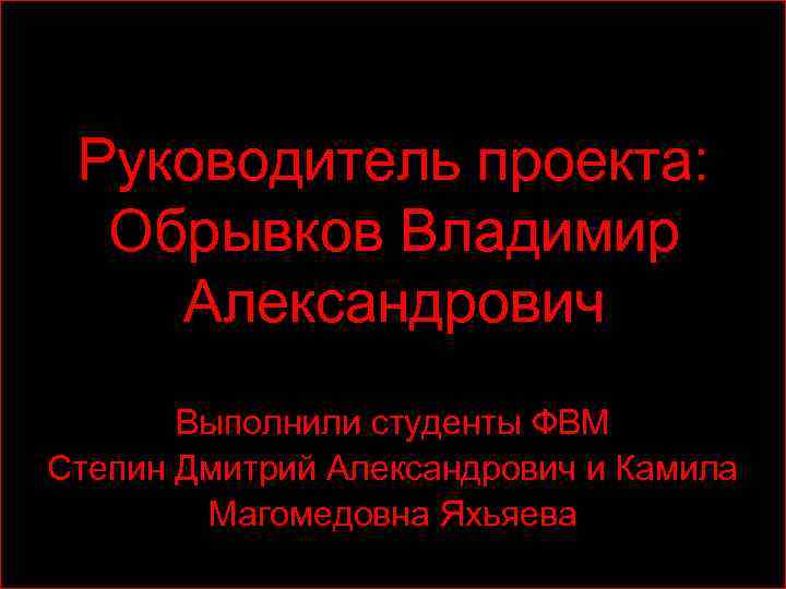 Руководитель проекта: Обрывков Владимир Александрович Выполнили студенты ФВМ Степин Дмитрий Александрович и Камила Магомедовна