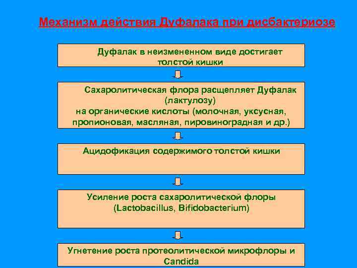 Механизм действия Дуфалака при дисбактериозе Дуфалак в неизмененном виде достигает толстой кишки Сахаролитическая флора