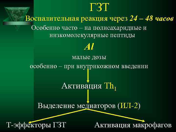 ГЗТ Воспалительная реакция через 24 – 48 часов Особенно часто – на полисахаридные и