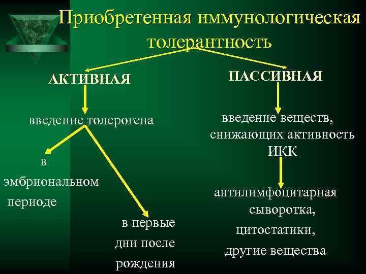 Приобретенная иммунологическая толерантность АКТИВНАЯ введение толерогена в эмбриональном периоде в первые дни после рождения