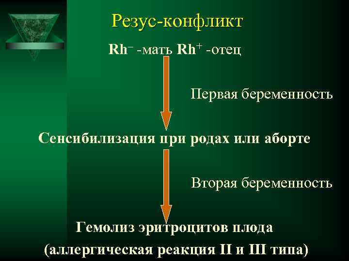 Резус-конфликт Rh– -мать Rh+ -отец Первая беременность Сенсибилизация при родах или аборте Вторая беременность