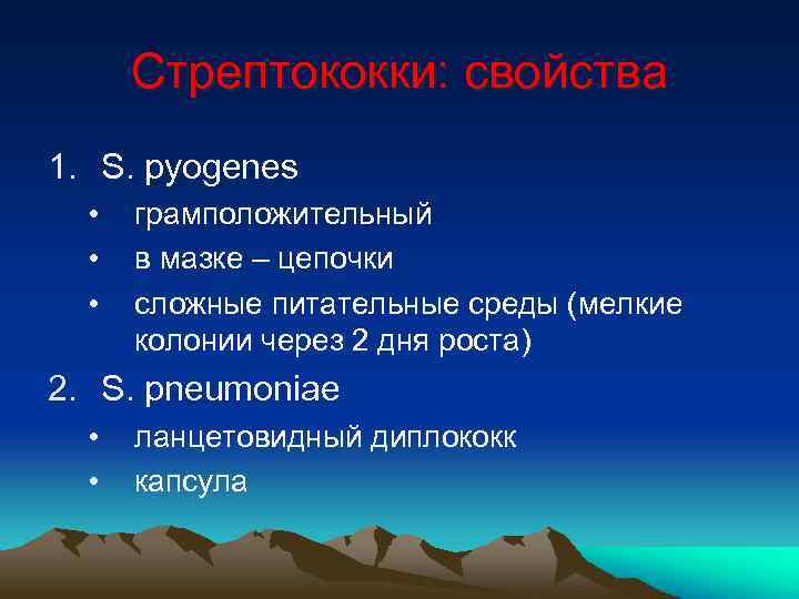 Стрептококки: свойства 1. S. pyogenes • • • грамположительный в мазке – цепочки сложные