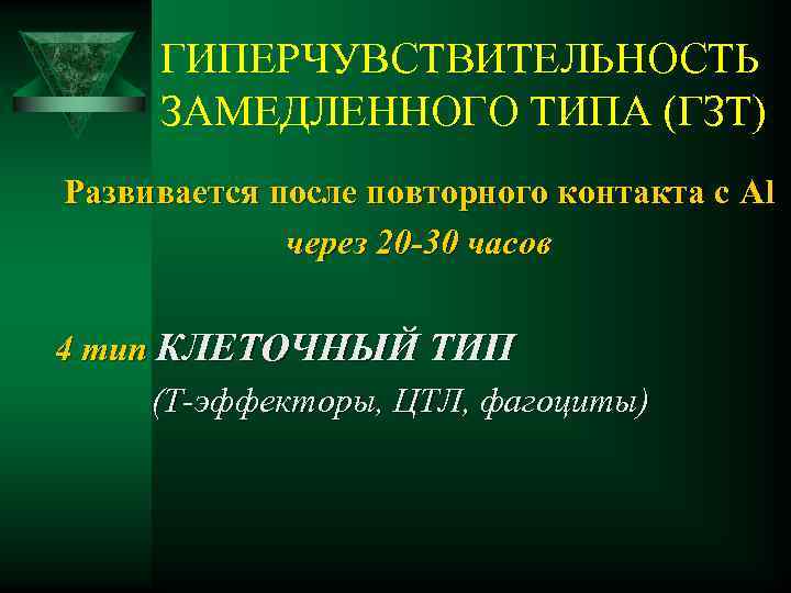 ГИПЕРЧУВСТВИТЕЛЬНОСТЬ ЗАМЕДЛЕННОГО ТИПА (ГЗТ) Развивается после повторного контакта с Al через 20 -30 часов